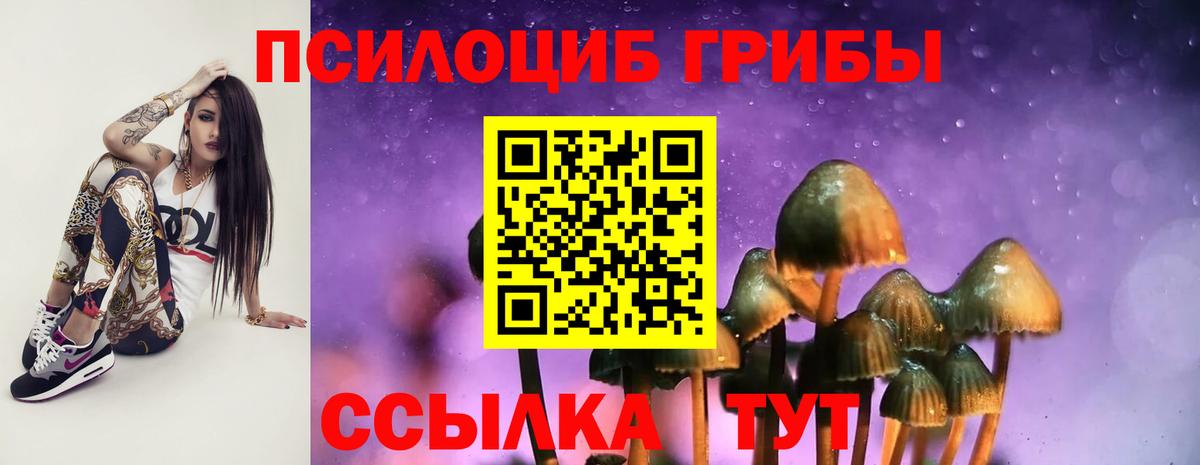 Псилоцибиновые грибы мицелий  Вход с VPN  Нефтекамск 